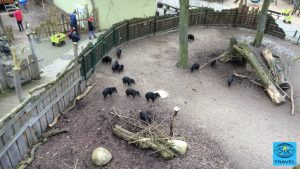 Blick vom Baumhausbalkon