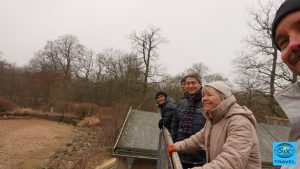 Neugierige Beobachter des Tiertreibens