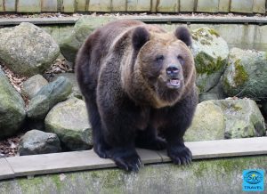 Ich komm gleich mal rüber...