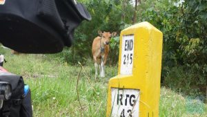 Tour de Flores radeln auf eigene Faust
