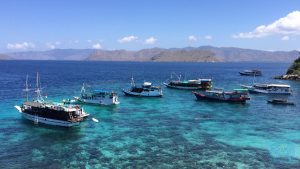 Pink Beach Schnorchelparadies