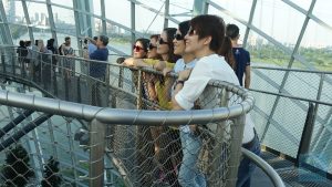 Cloud Forrest Faszination