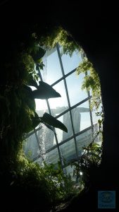 Cloud Forrest Guckloch zur Zivilisation