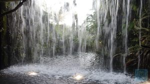 Cloud Forrest hinter dem Wasserfall-Vorhang