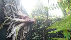 Cloud Forrest ins Auge gesehen