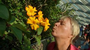 Cloud Forrest - vom Duft angelockt