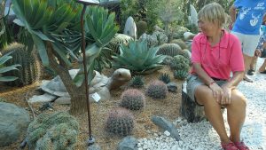 Flower Dome - entdeckt!