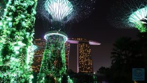 Giant Trees in Grün und Weiß