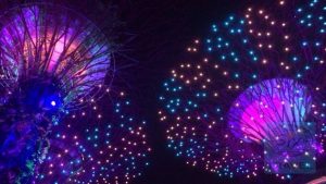 Giant Trees in Lila und Blau