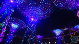 Giant Trees - zauberhaftes Lichtermeer