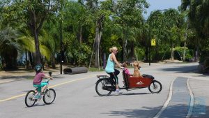 Radeln ist sehr beliebt bei jung und alt