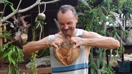 4 Außenschale abreißen