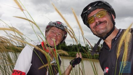 Mitten zwischen den Deichen