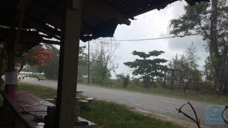 Mittten in der Regenzeit