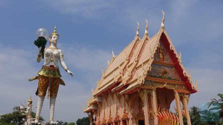 Anmutig wie Fabelwesen