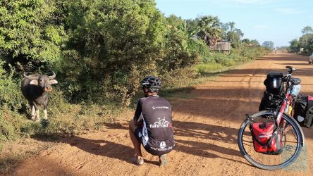 Eddys tierische Wegbekanntschaften
