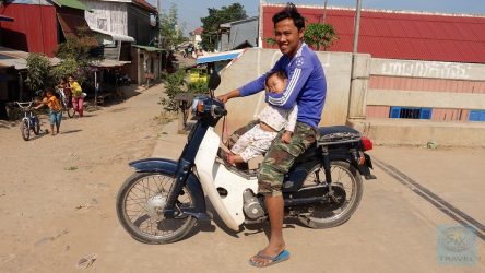 Kurioses - Mittagsschlaf auf dem Moded