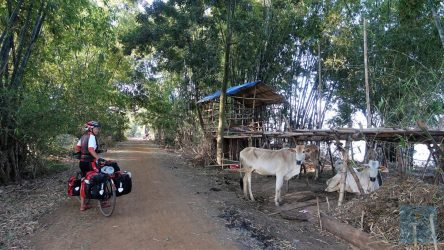 Utes tierische Begegnungen