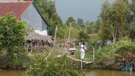 Baumstamm als Brücke