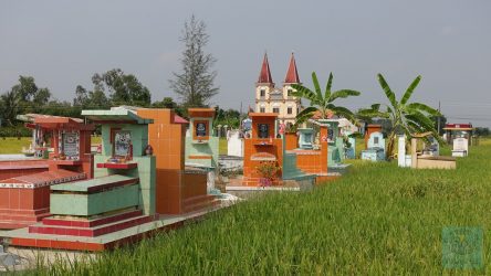 Bunte Grabmahle mitten in Reisfeldern