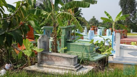 Bunte Grabmahle mitten in Reisfeldern