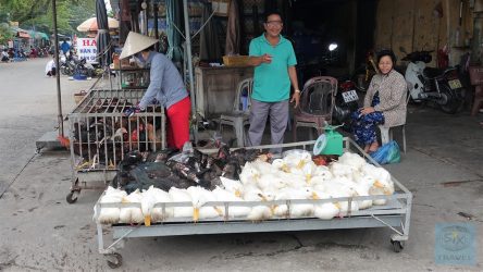Geflügel-Händler im Mekong-Delta
