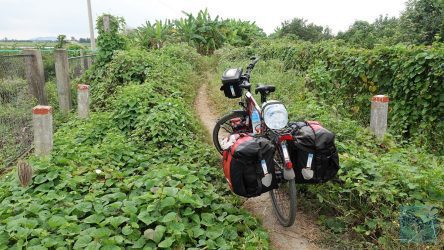 Jetzt wird der Pfad sehr eng