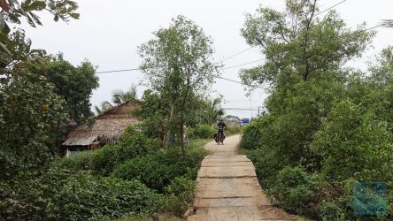 Wege zwischen den Gärten im Delta