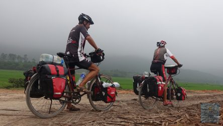 Auf in den Dschungel