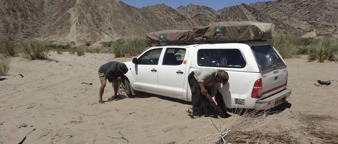 Safari durch Namibia