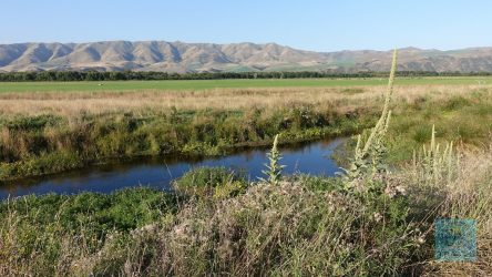 Entlang des Waitaki River