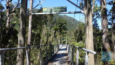 Brücken-Passagen auf dem West Coast Wilderness Trail