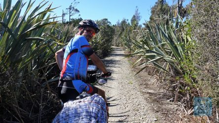 Umgeben von Sumpfgebieten