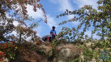 Der Zauber von Central Otago