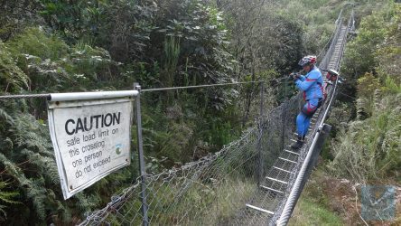 Ein-Mann-Hängebrücke -nahe Pueroa Forest Park