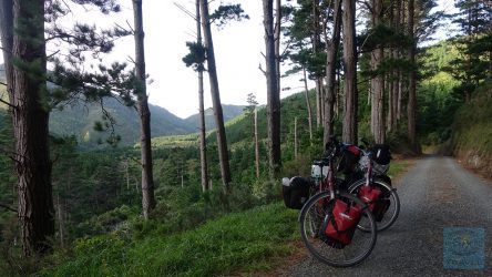 Rimutaka Cycle Trail - sanfte Anstiege