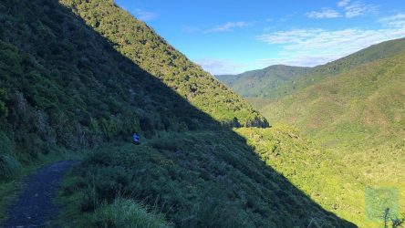 Rimutaka Cycle Trail hinter der Gipfel-Station