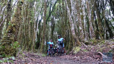 Timber Trail - im alpinen Abschnitt