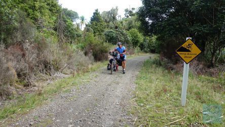 Timber Trail - steile Passagen