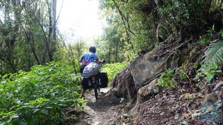 Timber Trail - südlicher Abschnitt