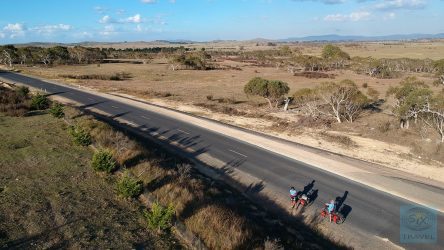 Australisches Buschland nahe Braidwood