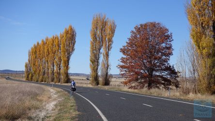 Vom Malermeister "Herbst"