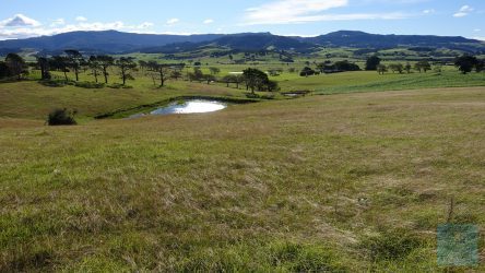 Sanftes Hinterland am Shoalhaven River