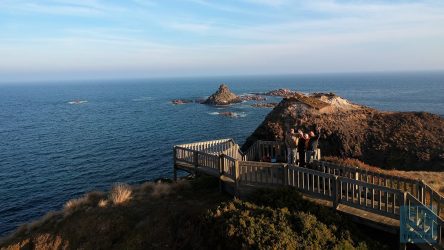 Aussichtspunkt an der Küste von Phillip Island