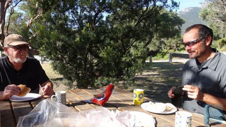 Picknick mit einem Papagei