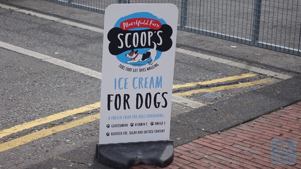 Kurioses - Eis für Hunde