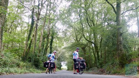 Route 82 -Waldstück bei Lampeter