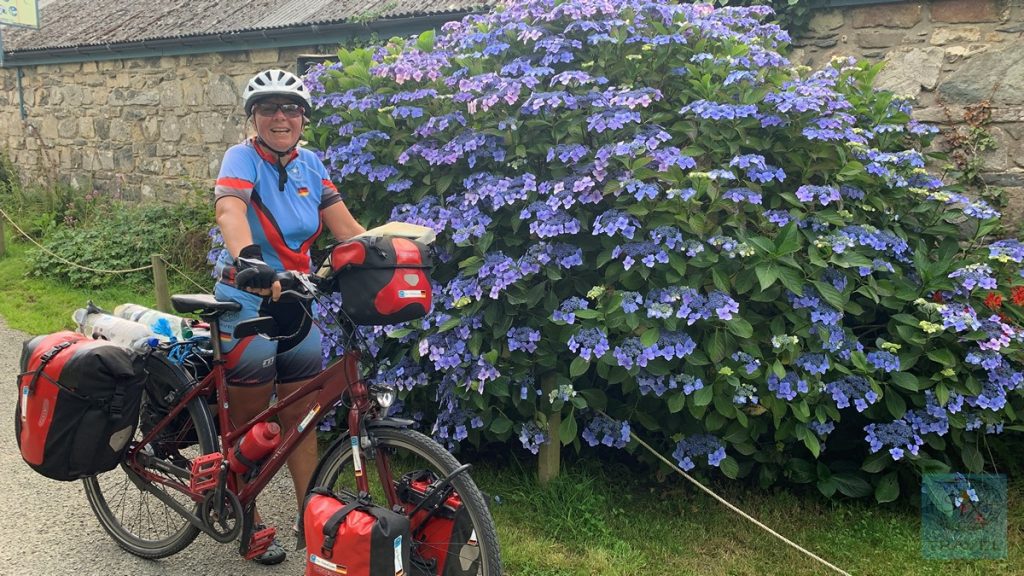 Wales und seine Blütenpracht