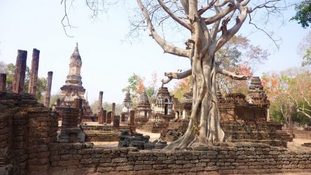 Si Satchanalai - Wat Chedi Chet Thaeo heute