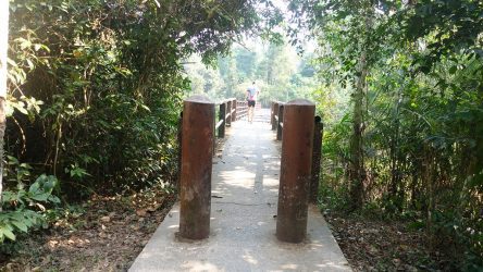 Wanderweg zum Haew Narok Wasserfall